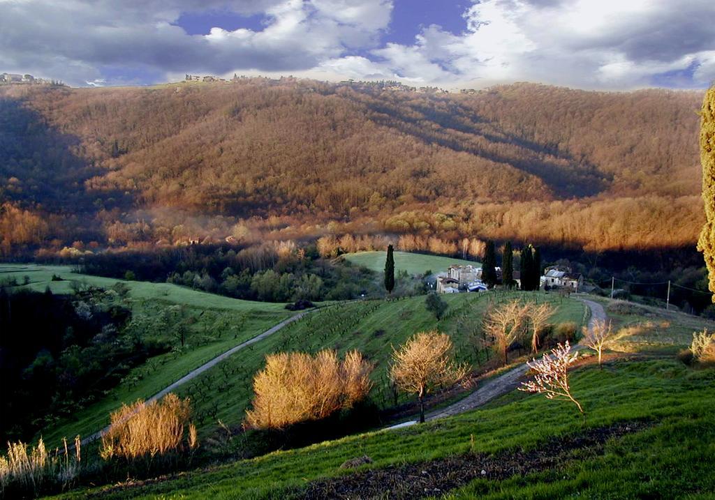 Alloggio per agriturismo Oasi Di Galbusera Bianca *